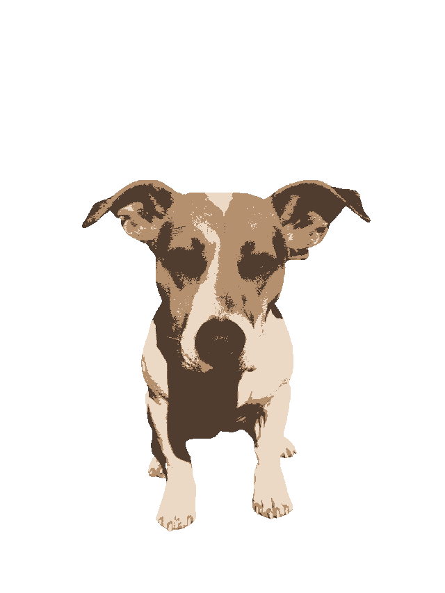 ollie toon