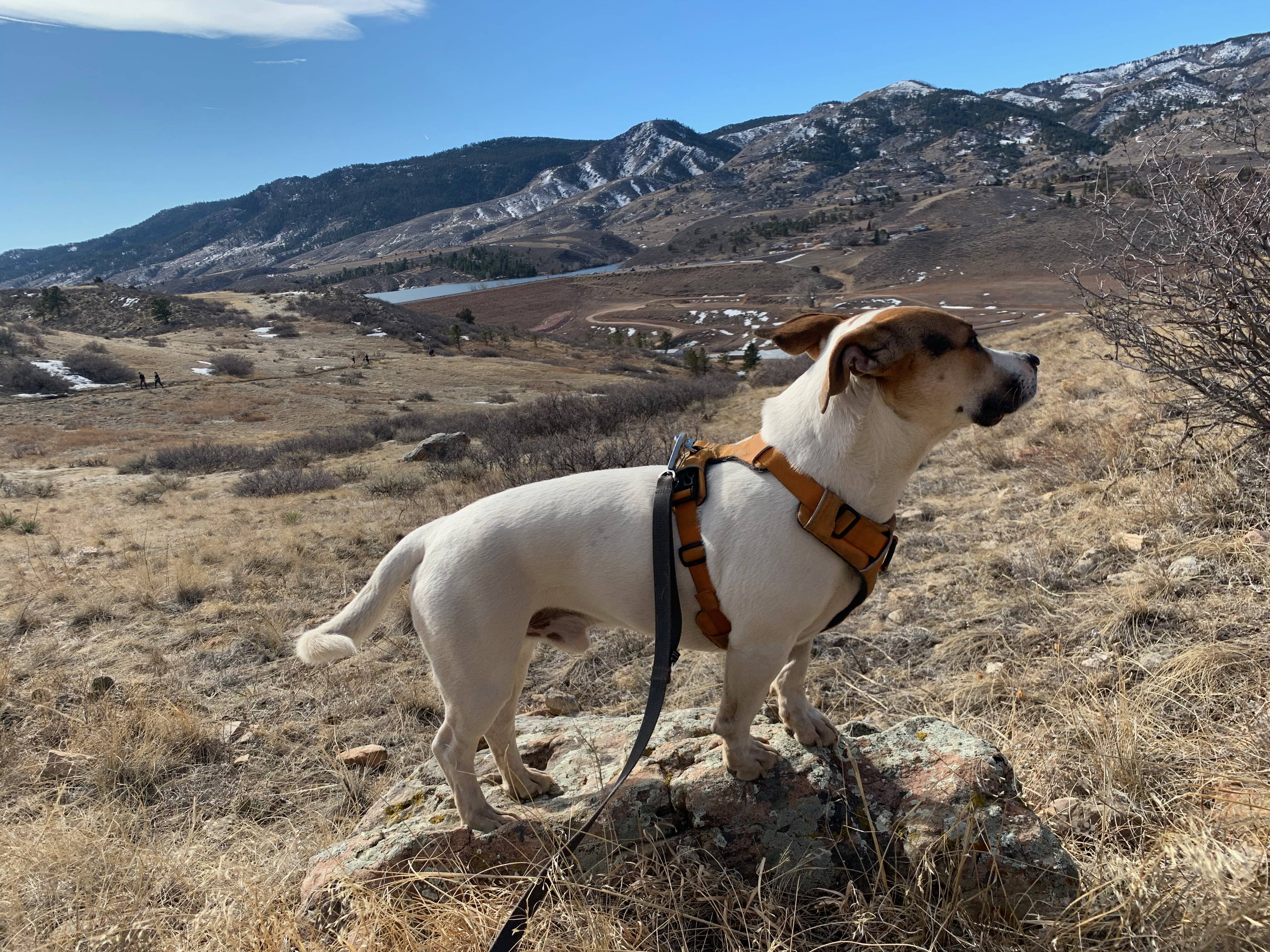 Ollie's profile